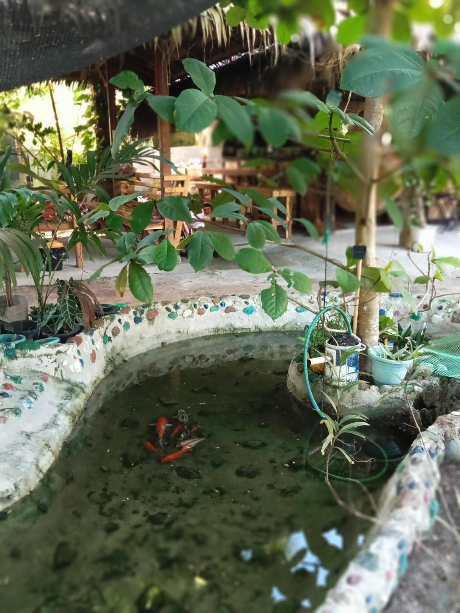 Weeroona Huts Homestay Pacifico San Isidro  Dış mekan fotoğraf