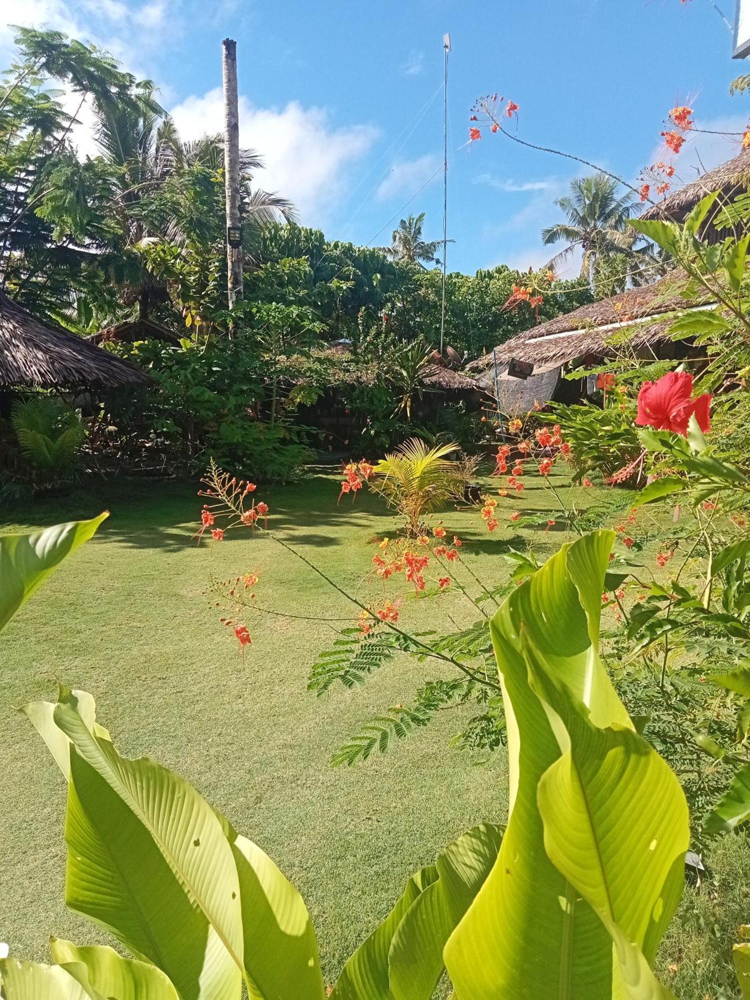 Weeroona Huts Homestay Pacifico San Isidro  Dış mekan fotoğraf